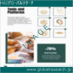 グローバルリサーチ調査レポートのイメージ